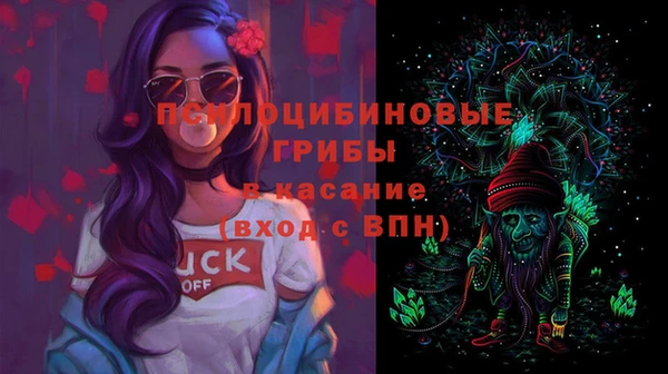 PSILOCYBIN Алзамай