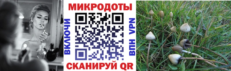 Псилоцибиновые грибы Magic Shrooms  Подольск 